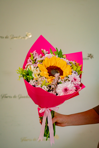 GIRASOL DE PRIMAVERA