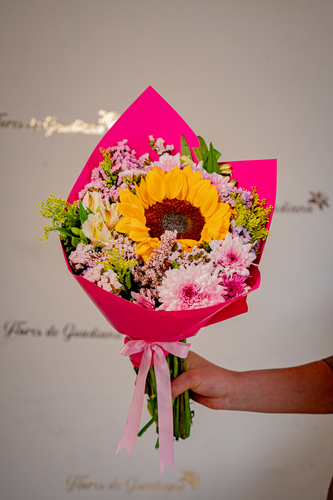 GIRASOL DE PRIMAVERA