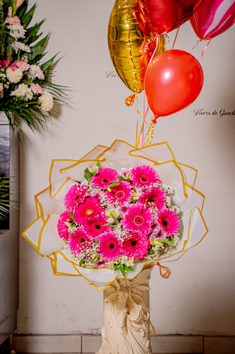 ENCANTO DE GERBERA