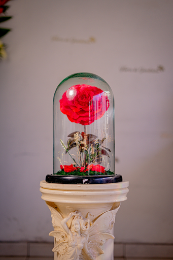 ROSA ETERNA